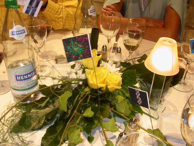 DSCN2964.JPG